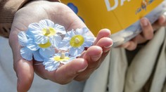 Svetový deň duševného zdravia, ministerstvo plánuje reformu v oblasti starostlivosti o chorých