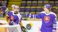 Slovensko zdolalo Nemecko aj v druhom prípravnom zápase pred MS