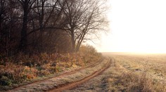 Zabudnite na biele Vianoce. Zajtra bude opäť nezvykle teplo