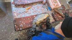 Ministrovi sa nepáči zákaz predaja kaprov pred obchodnými reťazcami. Našiel preto náhradné riešenie