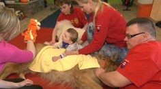 Počuli ste o syndróme mačacieho plaču? Terapia so psami pomôže