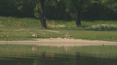 Prvý tropický deň je za nami. Stretli sme odvážnych plavcov na pláži pri Váhu aj lyžiarov