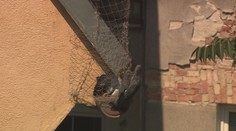 Robotníci ich zamurovali zaživa. Nad hlavami Bratislavčanov sa odohráva dojímavý príbeh