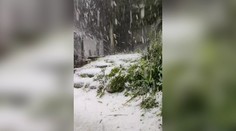 VIDEO: Lazy okolo Detvy zasiahlo mimoriadne silné krupobitie. Záhrady pokryla hrubá vrstva ľadu