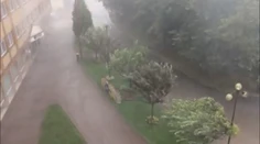 V Poprade zrejme vyčíňal zvláštny úkaz. Silná búrka vyvracala aj stromy