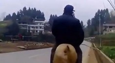 Spätý s prírodou: Muž (68) si osedlal prasa, brázdi s ním čínske cesty