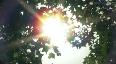 Znepokojujúca štúdia: Ľudia zomierajú v dôsledku vysokých teplôt, spôsobila ich ľudská aktivita