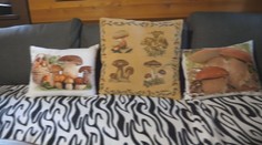 Hubárska vášeň, akú ste ešte nevideli. Pán Július nám ukázal svoju chatku, kde sú samé huby