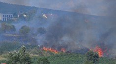 Vo vinohradoch na okraji Bratislavy vzniklo až päť masívnych požiarov. Preverujú aj úmyselné založenie