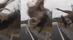 Stačila sekunda. Pozrite si dramatické video, no nezľaknite sa