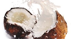 Marihuanu našli medzi kokosmi