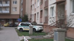 Posun v prípade nálezu na južnom Slovensku. Polícia zrejme vie, komu patria kostrové pozostatky