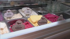 Pečeňová je hit! Zmrzlina pre psov sa v Nemecku teší úspechu