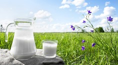 Na Slovensku je už mlieko lacnejšie ako voda