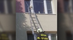 Žena chová v byte mačky. Jedna bezvládne visela z okna, druhú našli mŕtvu na parapete