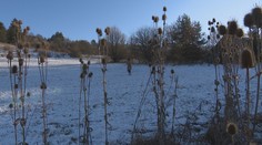 Predaj pozemku v Čeríne sa skončil hanbou a na prokuratúre