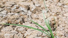 Svetová meteorologická organizácia upozornila na pokračujúce otepľovanie