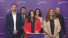 Pomôžu známe tváre malým stranám preliezť brány parlamentu? Nvotová môže byť krokom vedľa