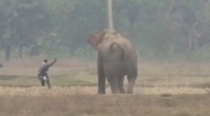 VIDEO: Opitý muž si chcel urobiť selfie so slonom. Zviera ho takmer rozdupalo