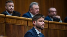 Opozícia mala vždy zastúpenie vo vedení parlamentu. Šimečkovo odvolávanie je podľa politológa zastrašovanie