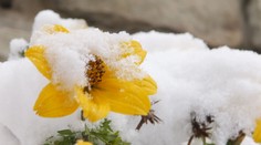 Vytiahli lopaty a niekde aj odhŕňače. Na sever dorazil prvý sneh aj do nižších polôh