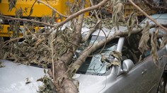 Prekliata poľadovica! Mladá vodička (†31) po šmyku zomrela