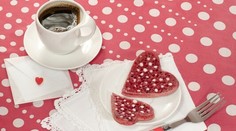 Rolky z grilovaného baklažánu s mätovou bryndzou a cuketou