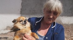 Policajta napadla štrbavá čivava, jej majiteľ musí zaplatiť odškodné