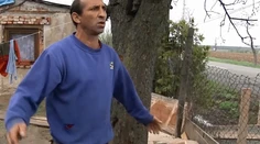 Chcel vraj pomôcť chudobnej žene, vyrúbal vzácne stromy. Teraz mu hrozí väzenie