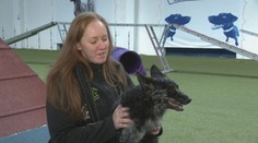 Vážna nehoda, operácie a rehabilitácie. Napriek osudu Bendži vyniká v zábavnom športe