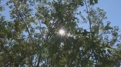 Horúčavy dávajú nášmu organizmu poriadne zabrať. Pozor na radikálne ochladzovanie