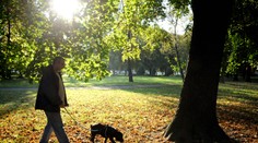 Teplé počasie mnohých domýlilo: Babie leto ešte len príde, teraz Slovensko ovládol iný meteorologický jav