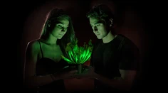 Skvelý nápad: Vyvinuli rastlinu, ktorá v noci svieti ako lampa