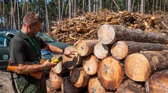 Sumy za palivové drevo od nového roka rapídne stúpli. Toto je prehľad cien podľa regiónov