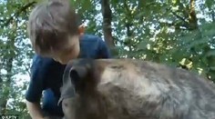 Pitbul zachránil život 8-ročnému chlapcovi. Až neuveriteľným spôsobom