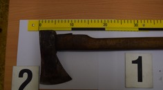 Zvlášť krutá bolesť a utrpenie. Muž mal sekerou napadnúť psa, veterinár ho musel utratiť