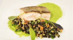 Grilovaný syr satyr s ľadovým šalátom