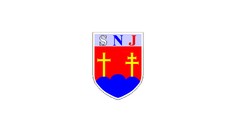 20. SLOVENSKÁ NÁRODNÁ JEDNOTA - strana vlastencov