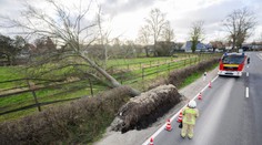 Británia aj Holandsko sa pripravujú na vpád víchrice Eunice. Rušia lety a vlakové spoje, pripravená je armáda