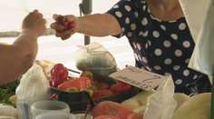 Má tri deti a v Banskobystrickom kraji zarába minimálku. Zbierajú orechy a huby, aby čosi ušetrili