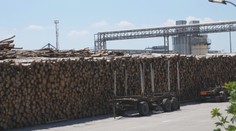 IKEA v Malackách dostala mastnú pokutu. Nábytkársky gigant má problém s ekológiou