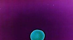 Čo sa stane, keď na filmový negatív nanesiete tvrdé drogy?