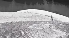 VIDEO: Internet rozdeľujú tieto zábery, podarilo sa zachytiť bájneho Bigfoota?
