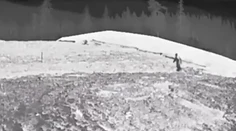 VIDEO: Internet rozdeľujú tieto zábery, podarilo sa zachytiť bájneho Bigfoota?