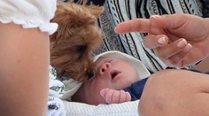 Simon Cowell sa predvádzal len s týždňovým synčekom na pláži!