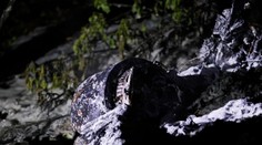 Ukrajinci zostrelili nad Kyjevom vlastný dron po tom, čo stratil kontrolu