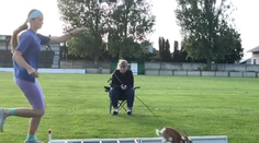 Študentka Júlia má netradičnú záľubu. Jej huňatí miláčikovia sú šampiónmi v králičom hope