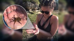 VIDEO: Turistka sa fotila s chobotnicou v rukách. Netušila, že ju môže ľahko zabiť