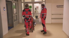 Choroby nesviatkujú. Strávili sme vianočné popoludnie na urgentnom príjme