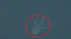 Satelitné zábery ako dôkaz? Záhada Lochneskej príšery opäť ožíva